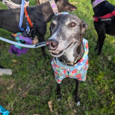 Jamies's avatar