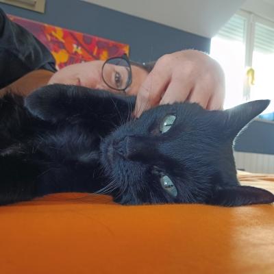 krita's avatar