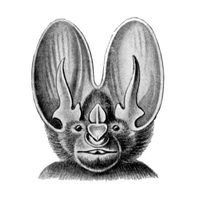 celia_portet_messidor's avatar