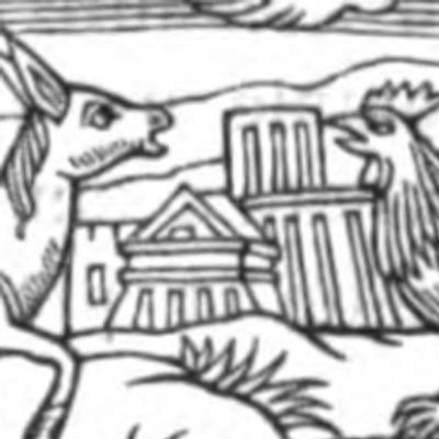 Ducoqalasne's avatar