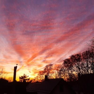 joybooster's avatar