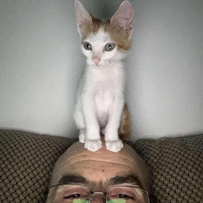 nickapos's avatar