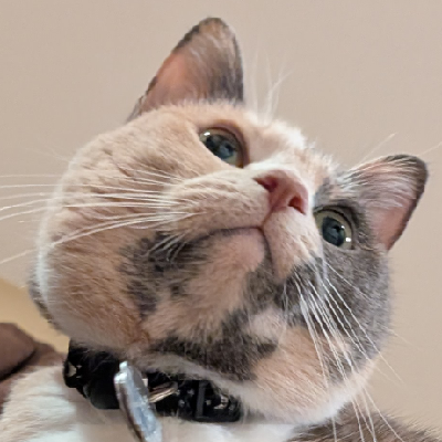 juliette's avatar