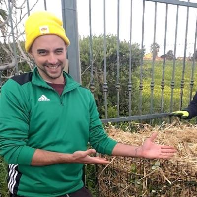 andiasante's avatar