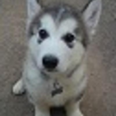 JezC's avatar