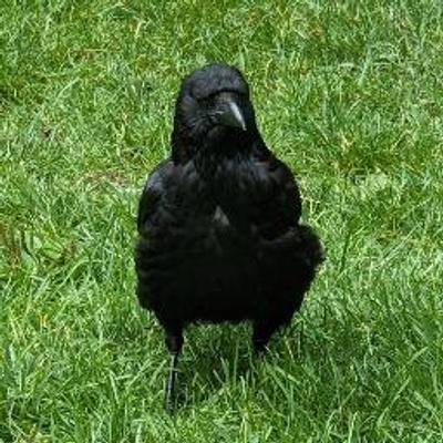 heinlenstein's avatar