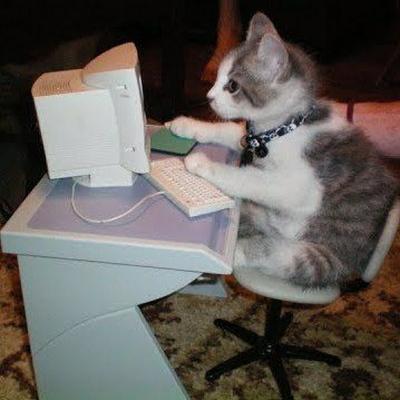 usdogu's avatar