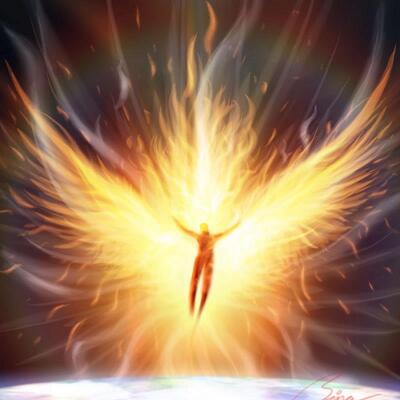 paladin's avatar