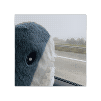 ptrpaws's avatar