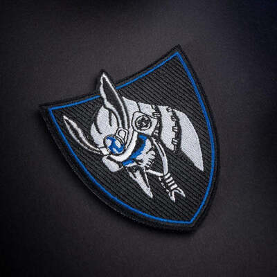 BlueLineRonin's avatar