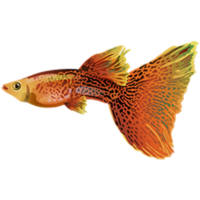 mastaperoparis's avatar