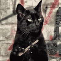 gatonegro's avatar