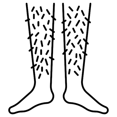 poilu's avatar