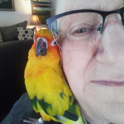 Lorraine's avatar