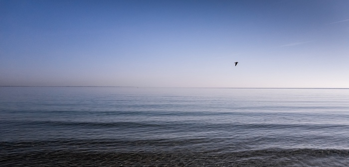 Nfoonf's profile header
