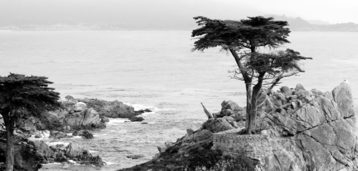mplouffe's profile header