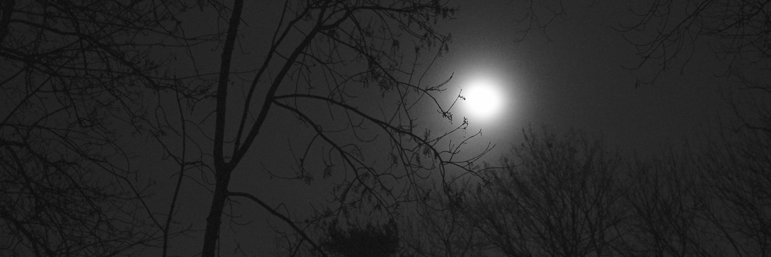 karolherbst's profile header