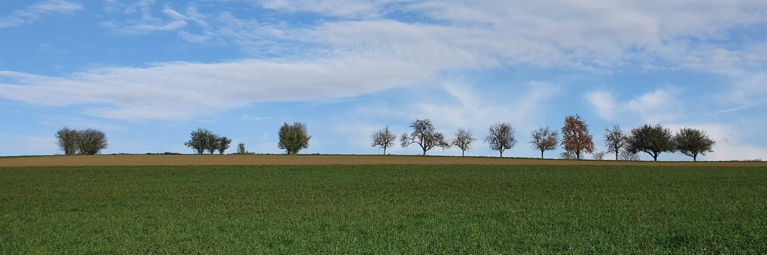 notafish's profile header