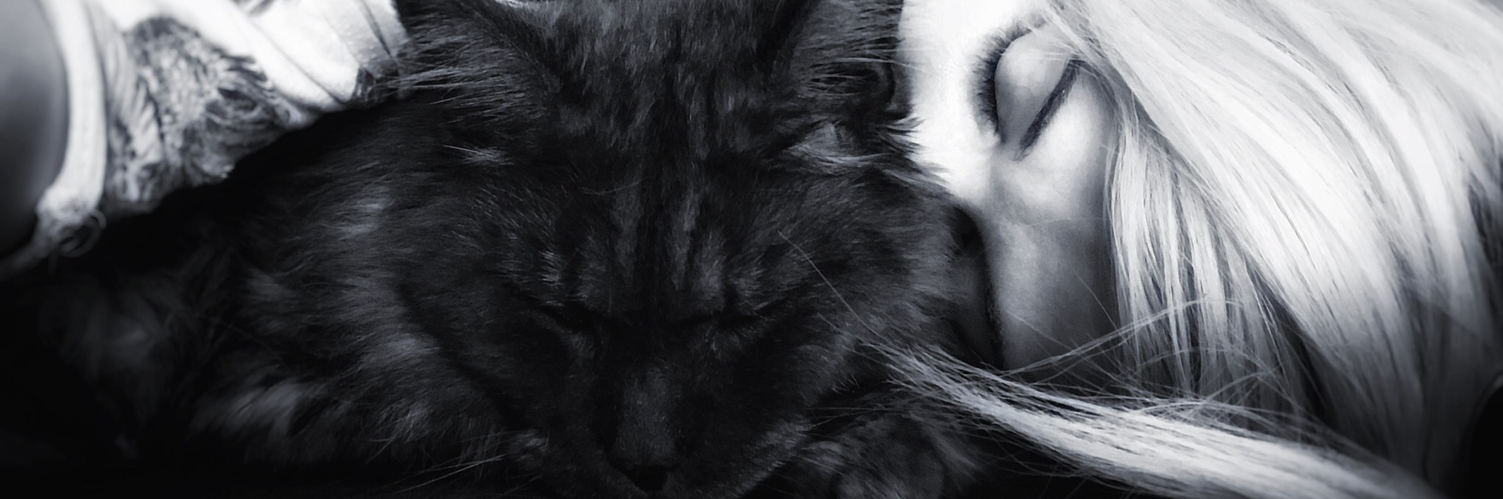 luzifuchs's profile header