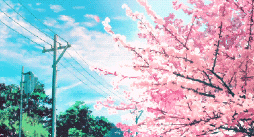 koyuchan's profile header
