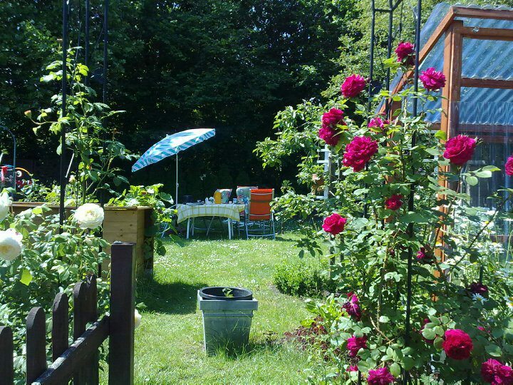 grundrauschen's profile header