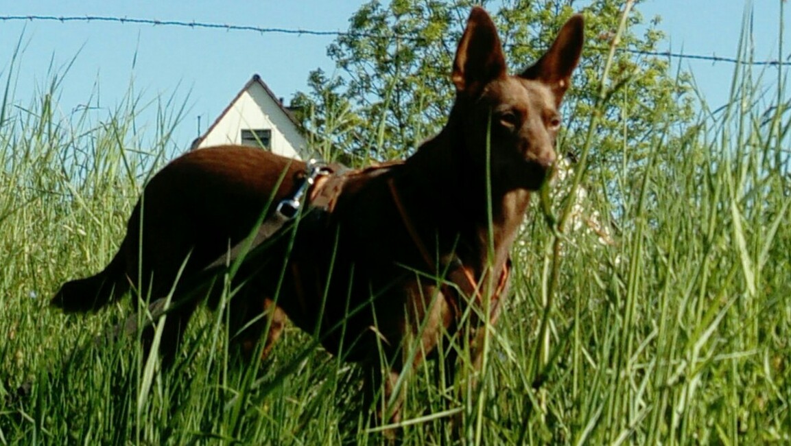 wortezimmer's profile header