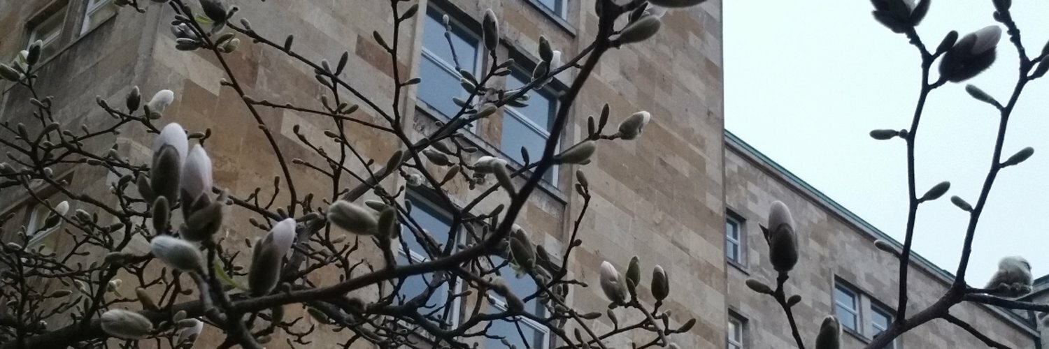 jbuendgenskosten's profile header