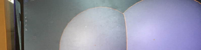 diffty's profile header