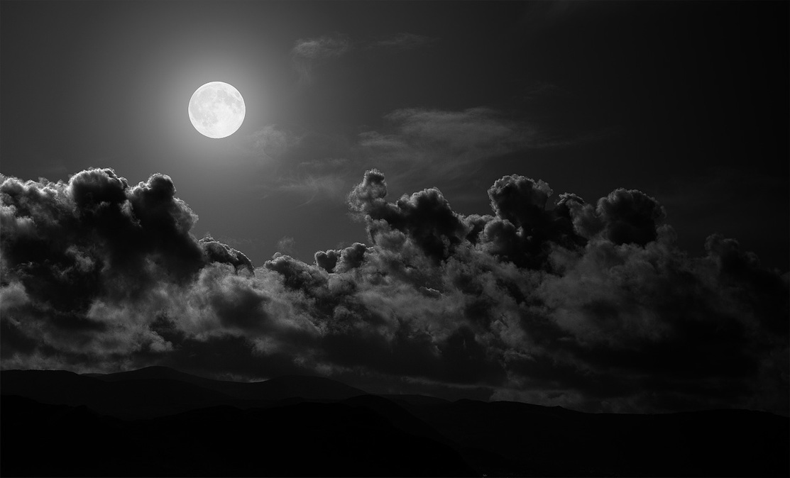 mattwilcox's profile header
