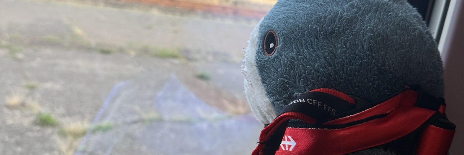 maartje's profile header