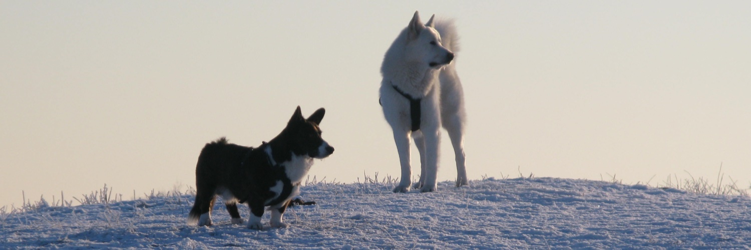 mok0's profile header