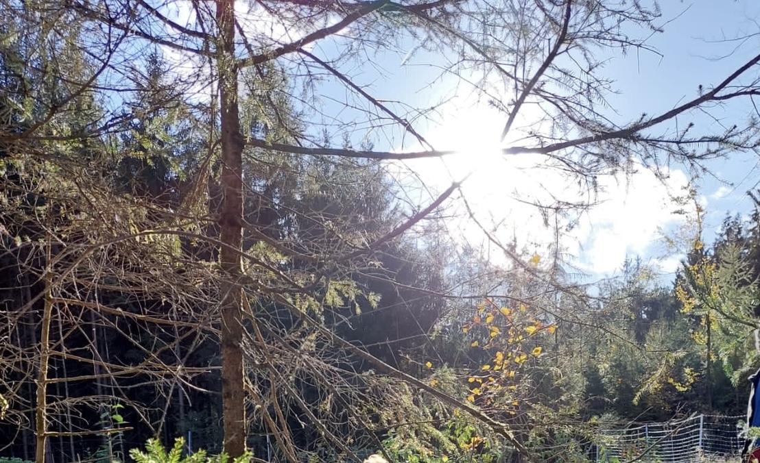 ritaha's profile header