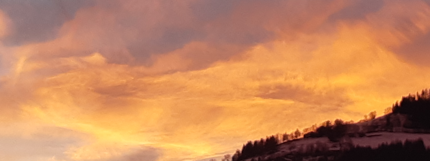 wobweger's profile header