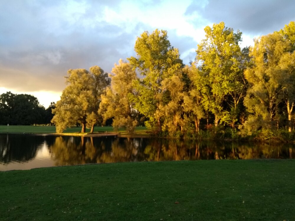 sustainablepace's profile header
