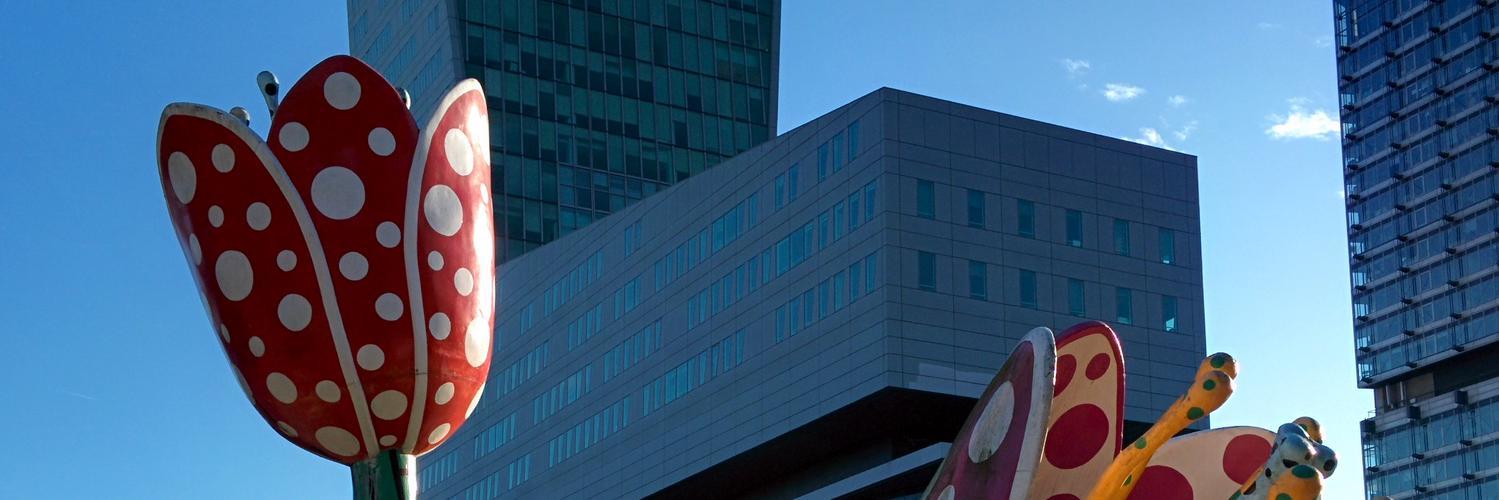 delabassee's profile header