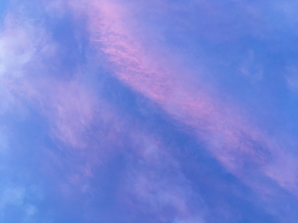 eightfold's profile header