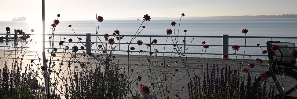 sabine_depew's profile header