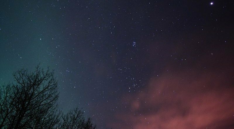 nightvaleopenings's profile header