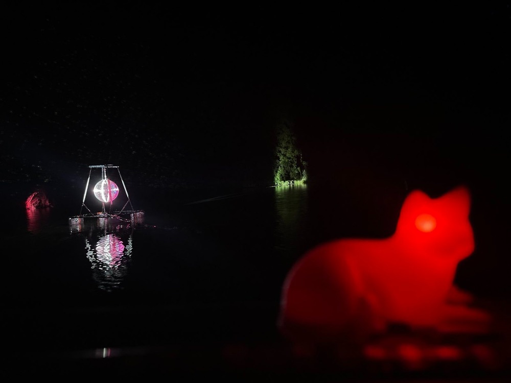 catileptic's profile header