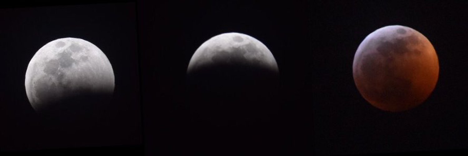 fizzixrat's profile header