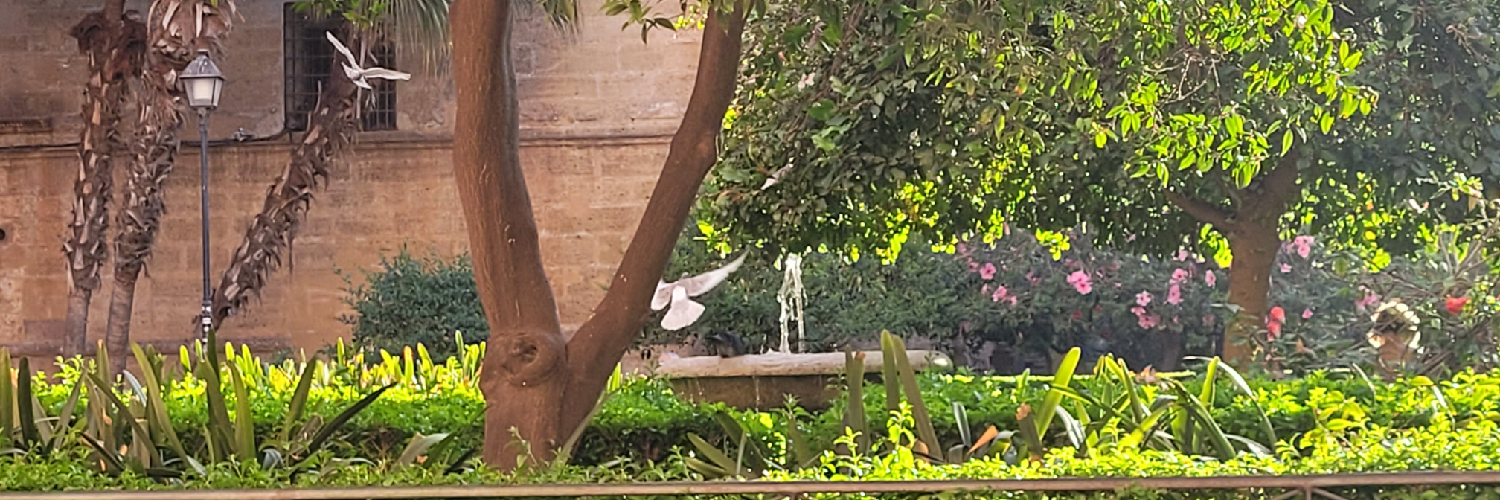 RagnaJa's profile header