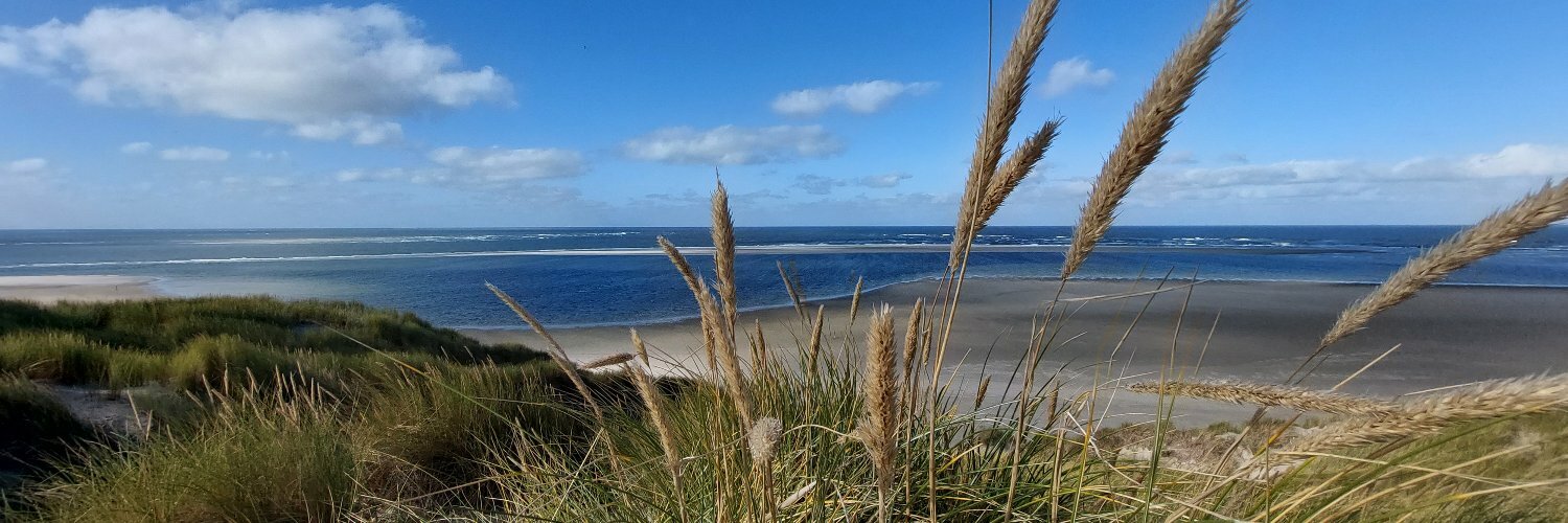 mariejosevantol's profile header
