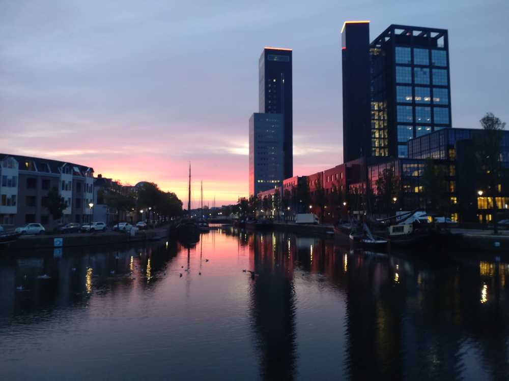 dwvm2's profile header