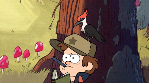 chrismckee's profile header