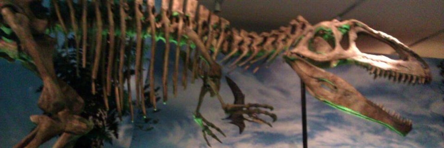 BatsInLavender's profile header