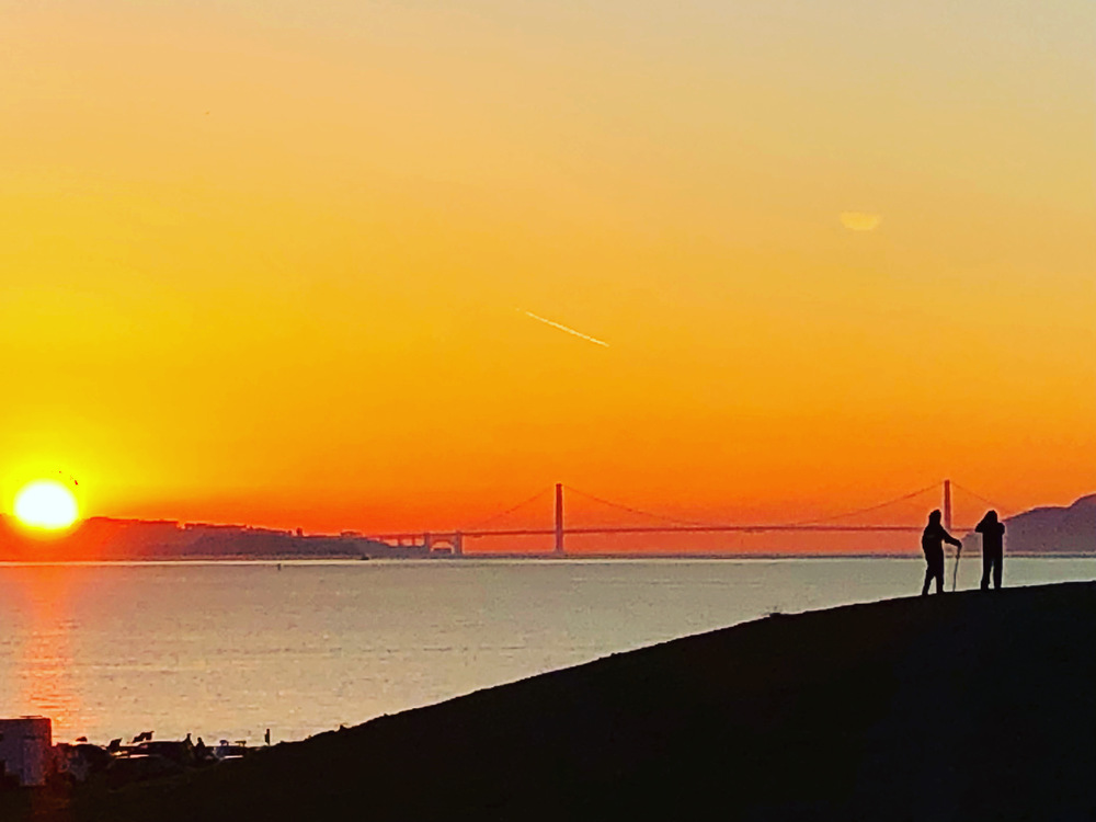 greenhombre's profile header