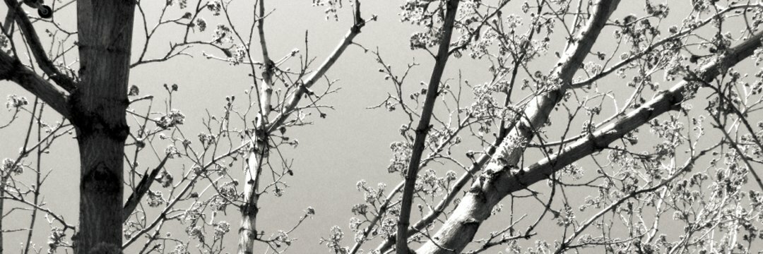 katrinakatrinka's profile header