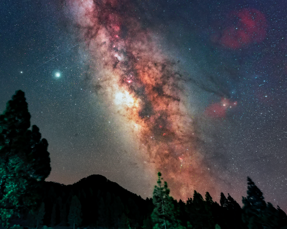 marprol's profile header