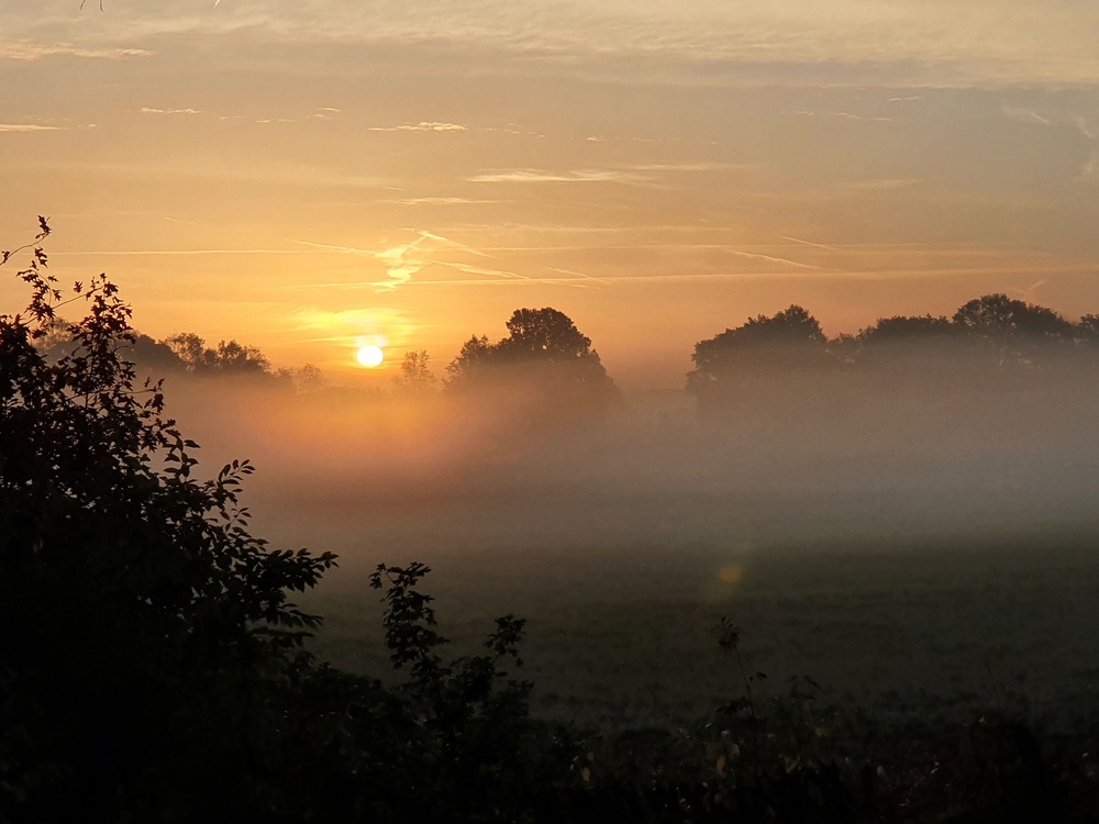 SaskiaWiel's profile header