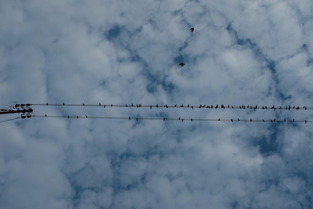 _dm's profile header